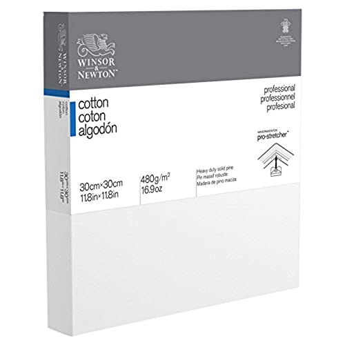 Winsor & Newton 30 x 30 cm Professional Cotton Deep Edge Canvas (Pack of 1), Weiß