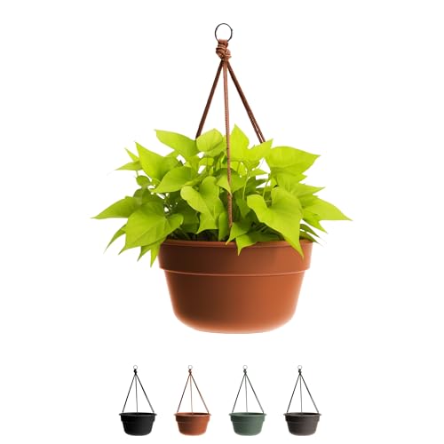 Bloem Dura Cotta Self Watering Hanging Basket Planter 12' Terra Cotta