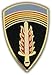 US Army 18th Amphibious Lapel Pin