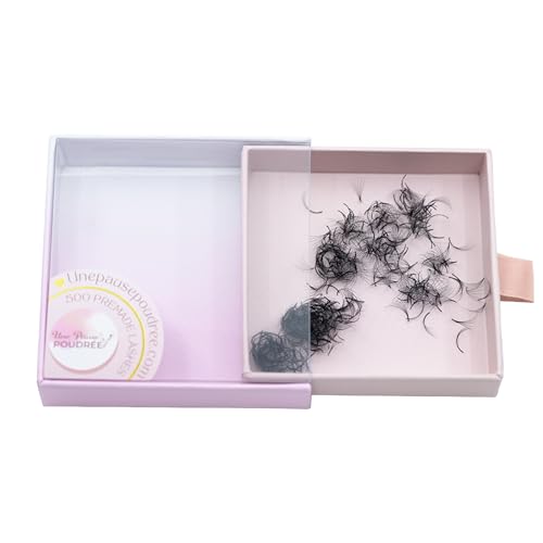 Bouquets en vrac pour volume russe en soie premium pour des extensions de cils 3D parfaites