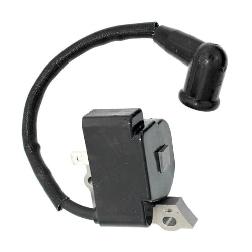 Module d'allumage 753-06763 pour réparer le démarrage difficile du CS202