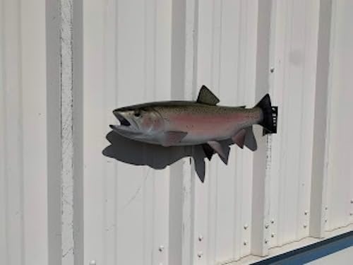 Mount This Fish Company 19" Rainbow Trout Fish Wall Mount Fish Replica Trophy, For Restaurant Owners, Vacation Homes, Outdoors and Indoors