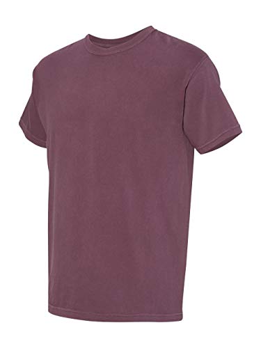 Comfort Colors Men's Adult Short Sleeve Tee, Style 1717 (X-Large, Purple Haze)