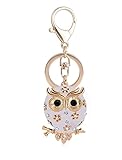 JIAHATE Owl Keychain,Cute Animal Keychain for Women Car Keyring for Best Friendship Accessories Pend