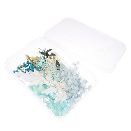 Kit de Flores Secas Prensadas Natural para Manualidades miniatura 6