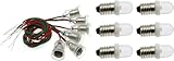 FDXGYH E10 Screw Bulbs Lamp Base Holder 6 Pcs 12V Cold White Lights and 6 Pcs Bulb Socket with Wire for Electronic Experimenting or DIY Light Decoration