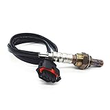 z10xep ölpumpe 100% nagelneu und von hoher Qualität. Langlebig und einfach zu installieren.