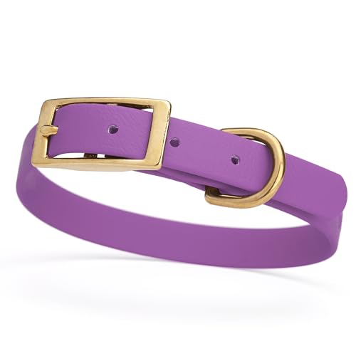 Image of Viper Biothane Heavy Duty Waterproof Dog Collar Strong Coated Nylon Webbing w /Solid Brass Hardware Odor-Proof for Easy Care to Clean High Performance Fits Small Medium or Large Dogs, Amethyst Purple
