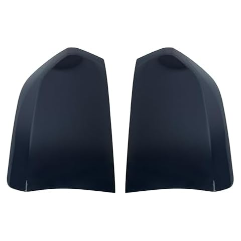 Neopaftu Tail Light Covers for Chrysler 300 Cover