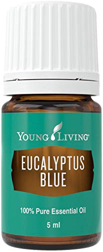 Eucalyptus Blue Essential Oil 5ml by Young Living Essential Oils