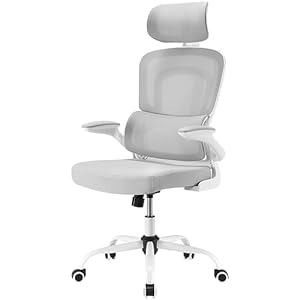 Farini Office Desk Chair with Flip-Up Armrest High Back Ergonomic Computer Chair with Adjustable Headrest and Lumbar Support Executive Swivel Chair for Home and Office,White and Gray