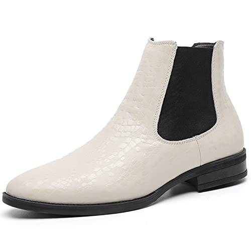 [J-WEWIN] u[c `FV[u[c Y y {v Gi ^ 3E L TChSA [Jbg JWAC hXV[Y amC rWlX ʋ oCNp  h   zCg