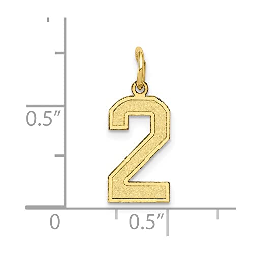 10K Yellow Gold Small Satin Number Charm Pendant4