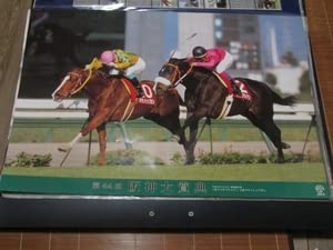 Amazon.co.jp: 競馬 B2ポスター 第44回 阪神大賞典