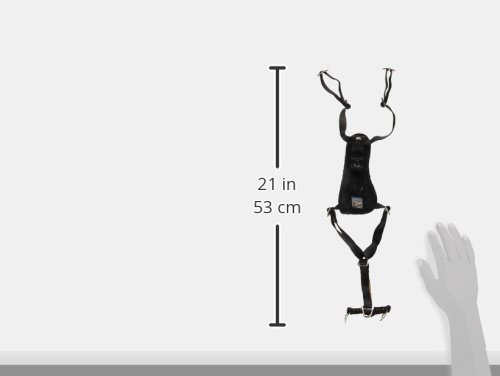 Kurgo Enhanced Strength Tru-Fit Dog Car Harness, Crash Tested, Steel Nesting Buckles, Includes Seatbelt Tether, Small-Black