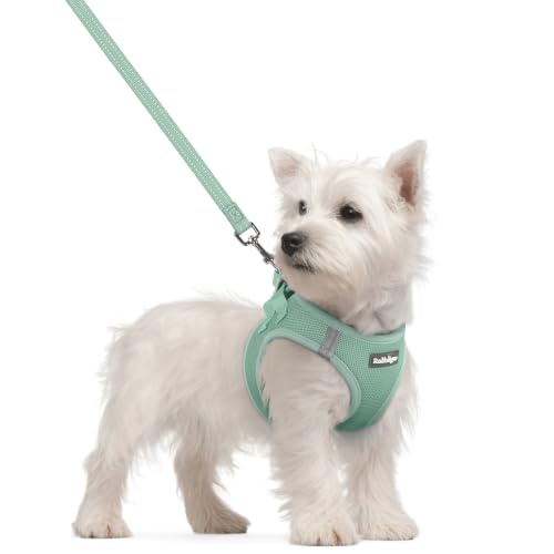 Image of rabbitgoo Dog Harness Small Sized and Leash Set, Step-in Puppy Pet Vest