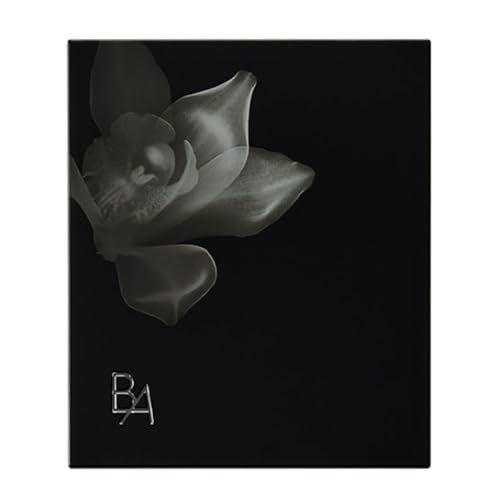 ポーラ B.A オアシスライト パウダー ケースのサムネイル