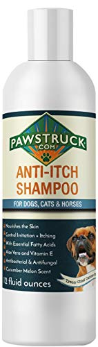 Shampoo for Dogs | Natural & Made in USA | Safe & Effective for Puppies & Pets | Powerful to Clean, Bathe, Freshen, & Remove Odors (Anti-Itch Shampoo (Cucumber Melon))