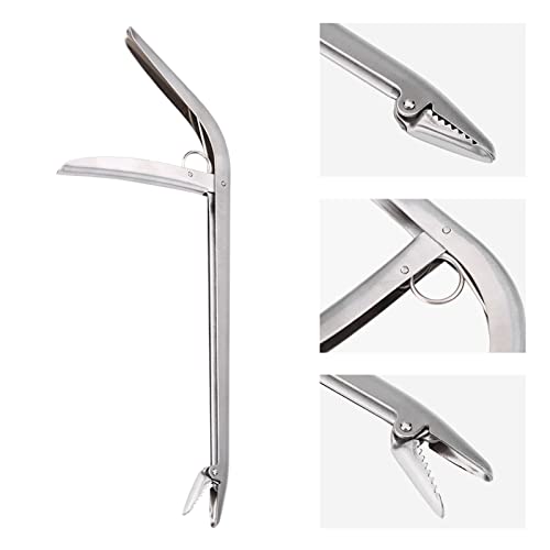 CLFYOU Fish �t�b�N�����[�o�[�A�v���~�A�� �X�^inless �X�`�[�� Fishing �^�b�Nle Access�܂���y with Sprg Loaded Hand �̂܂���ngrs�A�y��Crosion Rtant