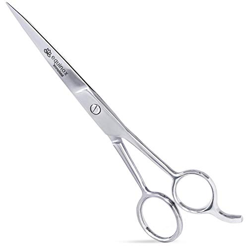 Equinox Professional Hair Scissors - Hair Cutting Scissors Professional - 6.5” Overall Length - Barber Scissors For Men And Women - Premium Shears For Salon And Home Use (Ice Tempered - Silver) #TOP6