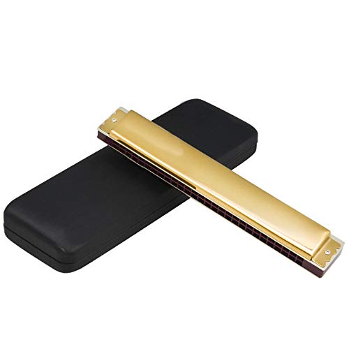 Harmonica 28 Hole Accent C Harmonica Advanced Adult Professional Performance Level (Color : Silver) (Gold) - Les Beatles, Paul McCartney, John Lennon, RIngo Starr, George Harrison Harmonica 28 Hole Accent C Harmonica Advanced Adult Professional Performance Level (Color : Silver) (Gold)