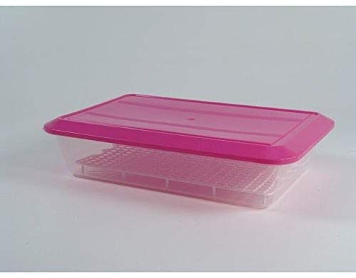 Mundigangas Contenitore per Alimenti in Plastica da 4,2 Lt con Griglia e Coperchio, Riciclabile, Non adatto per Lavastoviglie o Microonde, Ideale per Cibi Vari, Frutta e Verdura, Leftovers