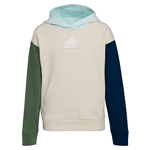 Sweat à capuche Adidas Freestyle pull manches longues garçon Alumina taille L sport