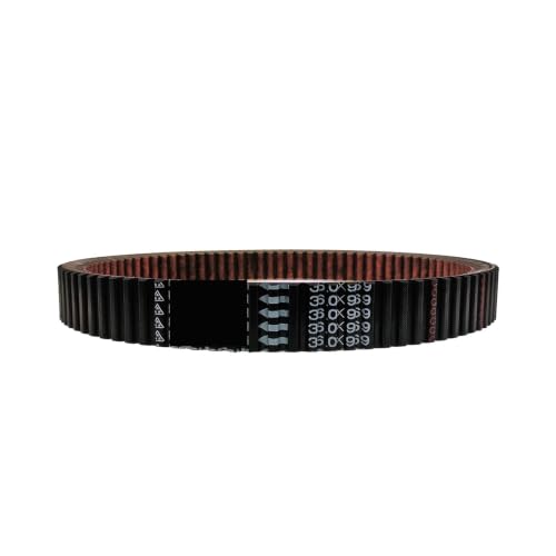 Courroie trapézoïdale 36x969 renforcée pour CF800 CF950 CF1000 de rechange