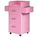 Beauty Salon Station for Hair Stylist, Salon Station Storage Cabinet with Wheels & Pink Gold Handle, Rolling Beauty Station with 3 Drawers & 6 Hair Dryer Holders, Pink