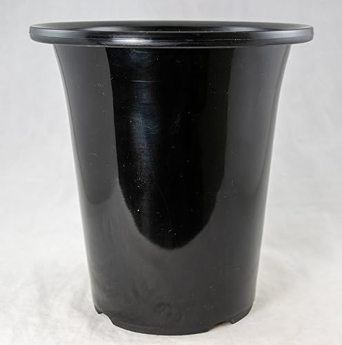 Japanese Black Round Glossy Plastic Cascade Bonsai Pot, Cactus & Succulent, Orchid Planter - 5' to...
