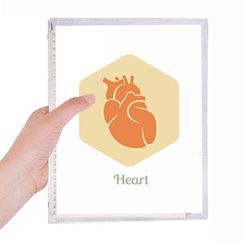 Carnet de notes en spirale rechargeable Body Organs pour ne plus perdre ses feuilles