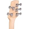 Gold Tone GME-5: 5-String Solid Body Mandolin with Gig Bag