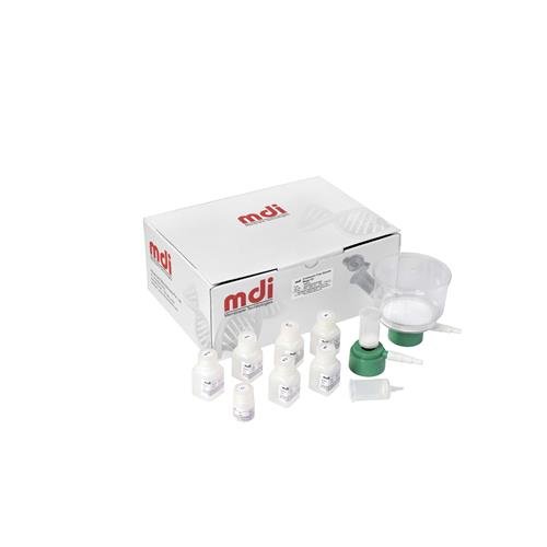 Fast EndoFree Megaprep kit, 2 Columns