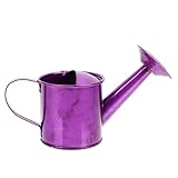 YARNOW Galvanized Watering Can, 17. 6 Oz Farmhouse Style Watering Can, Metal Watering Can with...