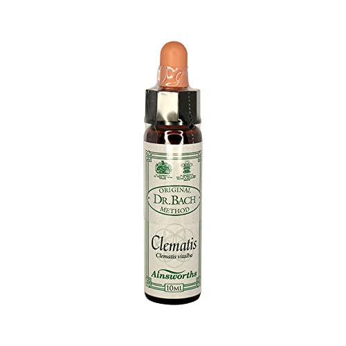 Ainsworth | Clematis Remedy | 1 x 10ml