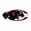 Claflin Panthers Primary