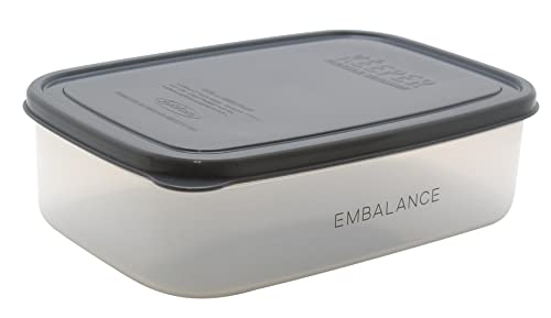 ウィルマックス EMBALANCE保存容器 レクタングルコンテナL グレーT12223