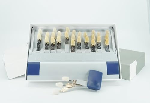 Image of Dental Shade Guide 3D Master | 29 Colors Including Bleaching Shades for Veneers & Esthetics | Professional Tooth Color Matching Tool for Accurate Dental Shade Selection
