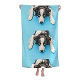 HDTVTV Chiot drôle Border Collie sur Fond Bleu,Serviette de Plage Serviette de Bain Ultra Douce Couverture de Plage à séchage Rapide 80 x 130 cm