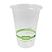World Centric Compostable Cups 16 oz - Clear Cold Cups Made from Plants - 200 Pack 1