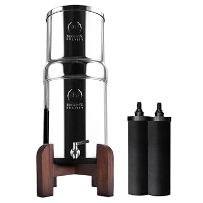2.25 G AISI 304 Stainless Steel Premium Gravity Water Filter System | NSF Certified 2 Carbon Filter Elements | Free Teak Wood Stand & Steel Spigot | No Plumbing/Electricity Required | Portable