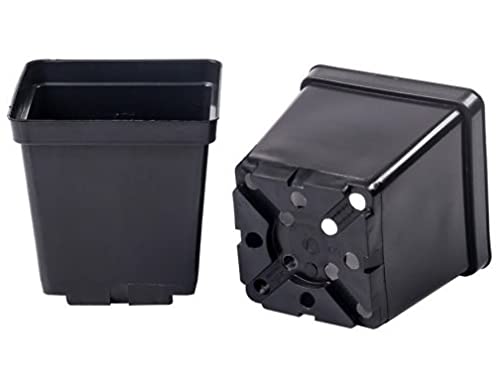 B2C Square Plant Pot .5 1 2 3 5 11 18 25Lt Strong Black Plastic Hydroponic Pots (10, 3L) - Image 2