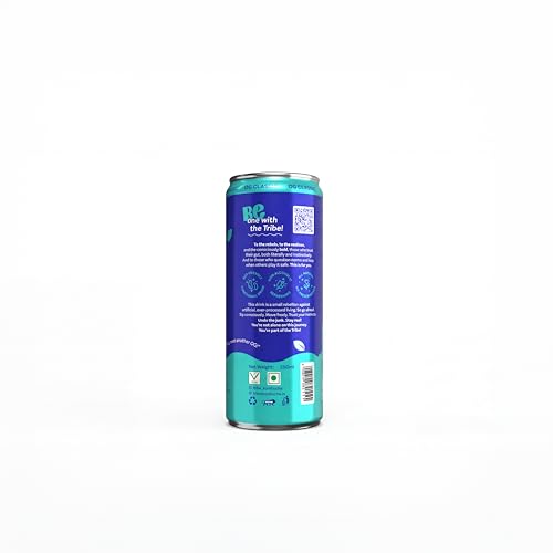 Image of Tribe Kombucha Probiotic Super Drink | Supports Gut Health | Gluten-Free | Naturally Fermented | Super Refreshing | Gut Friendly | Improves Blood Sugar | Antioxidant and Hydration | No Added Sugar |250 ML X 2 (OG CLASSIC)