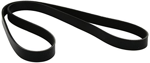 Courroie 6PK1290 Dayco de transmission striée accessoires voiture