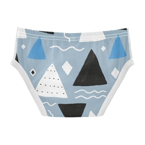 GuoChe Briefs for Boys Cotton in Sizes 2T,3T, 4T, 5T, 6Y and 8Y2