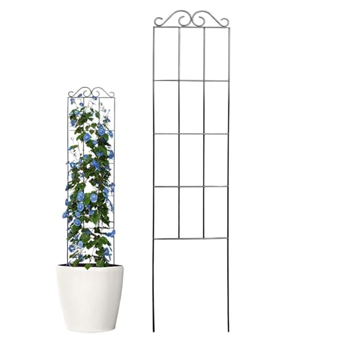 Rejilla para plantas en maceta de hierro apta para flores y verduras de interior 8
