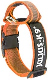 Julius-K9 Colour and Gray Collar with Handle, Safety Lock and Interchangeable Patch, 40 mm (38-53 cm), Black-Gray