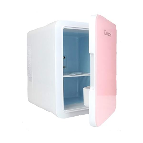 KHOOLA Mini Fridge Thermoelectric Cooler and Warmer AC/DC Powered