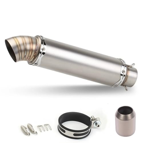 Willthinleye バイクサイレンサー スリップオンマフラー 38mm 50.8mm 汎用 オートバイ 全長38CM (チタンカラー)