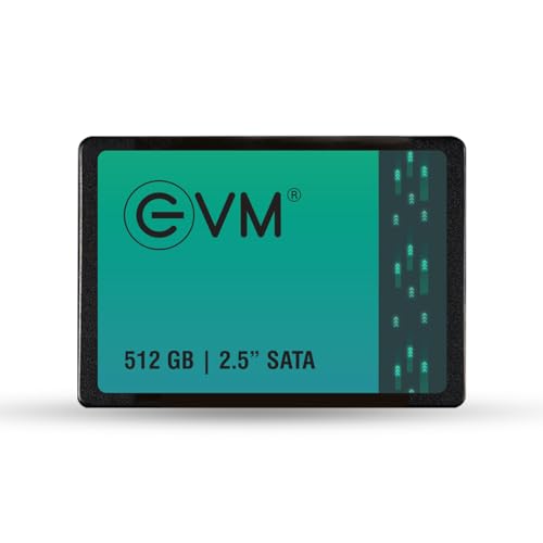 EVM 512GB 2.5 Inch SATA III SSD (EVM25/512GB)